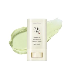 Beauty Of Joseon Matte Sunscreen Stick Mugwort + Camelia SPF 50 PA++++