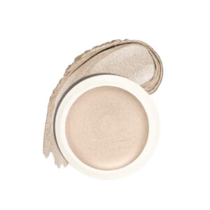 Insight  Highlighter, Long Lasting Reflective Formula